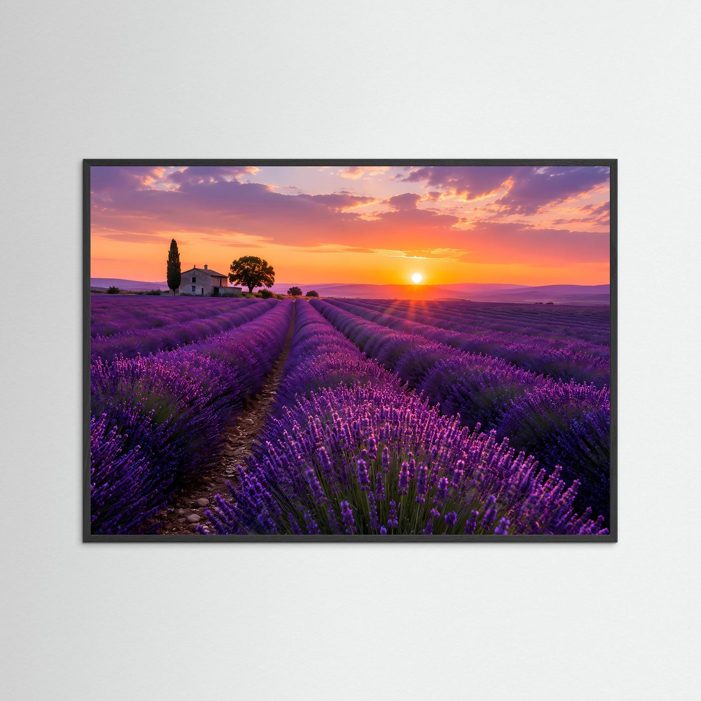 Lavendelfeld Poster Querformat | Provence Landschaft im Sonnenuntergang