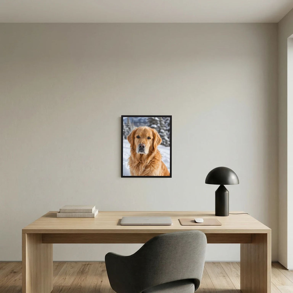 Wandbild mit goldenem Retriever im Schnee im schwarzen Rahmen