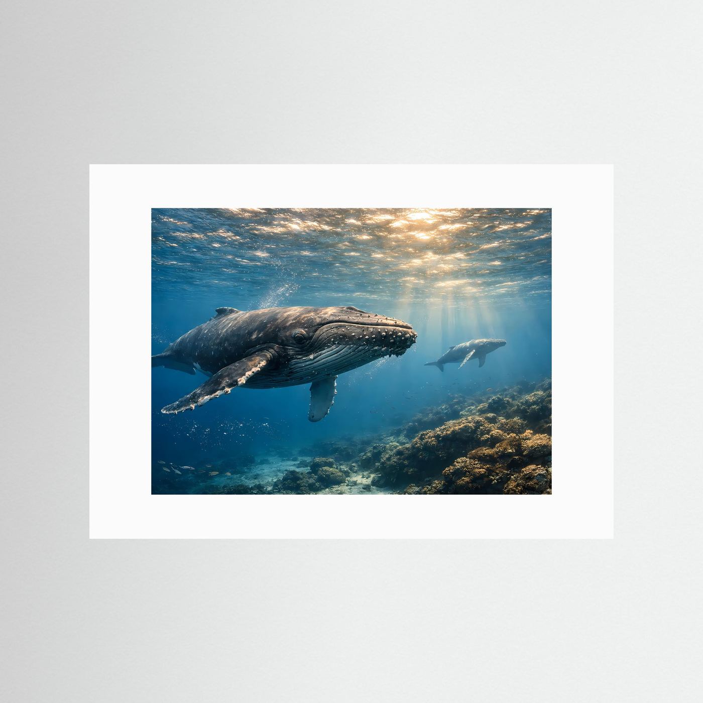 Majestätische Buckelwale im tiefen Ozean | Panorama Unterwasserwelt & Meer Poster Querformat