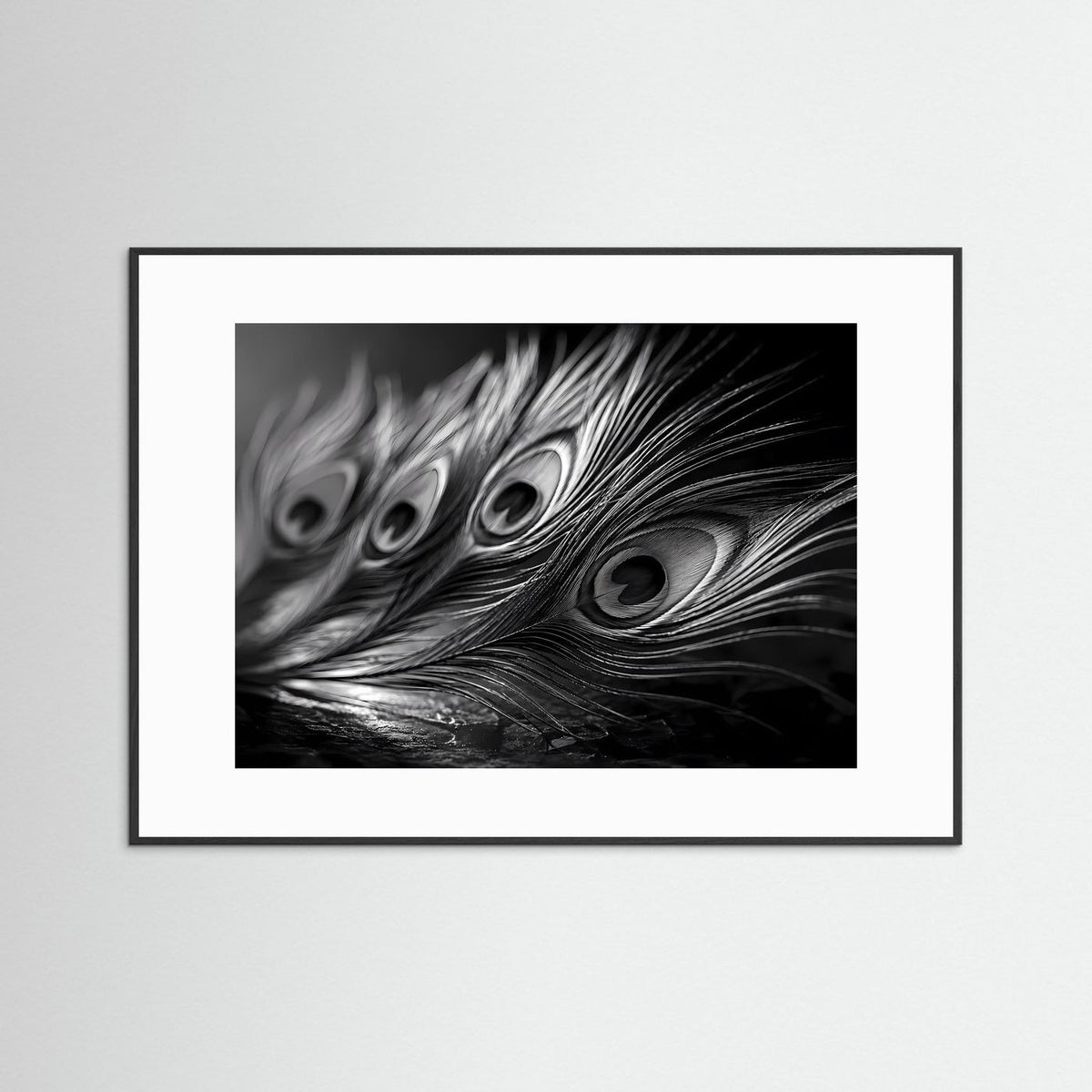 Schwarzweißes Pfauenfeder-Fotoposter mit Makro-Federaugen, weißer Rahmen