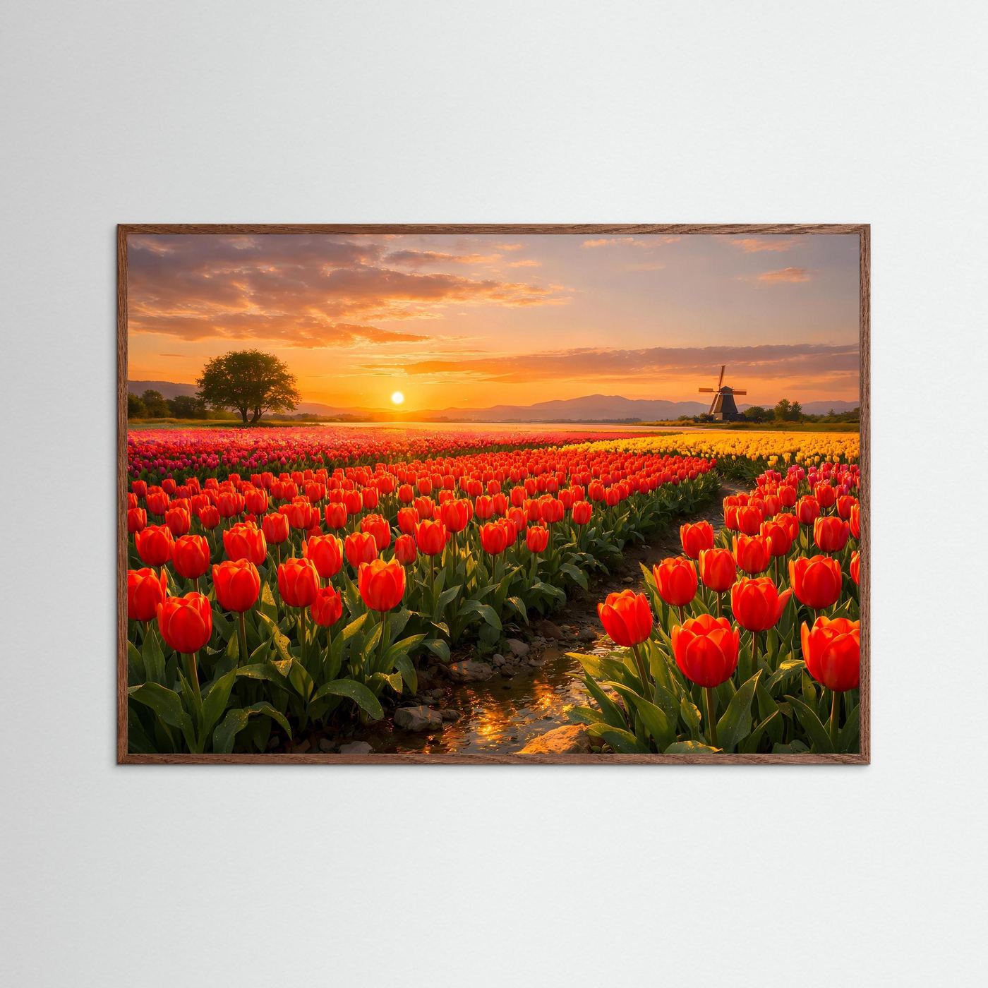 Gerahmtes Poster mit rotem Tulpenfeld und Windmühle zur Abendsonne im braunen Rahmen