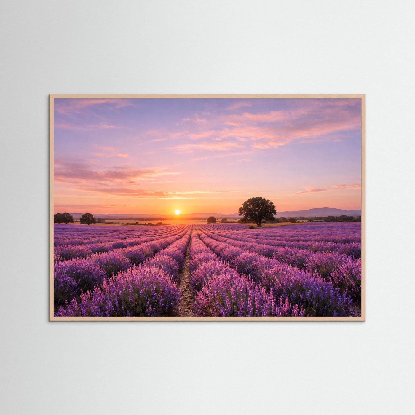 Naturposter im rosafarbenen Holzrahmen: Lavendelfeld mit Abendsonne, violette Blüten