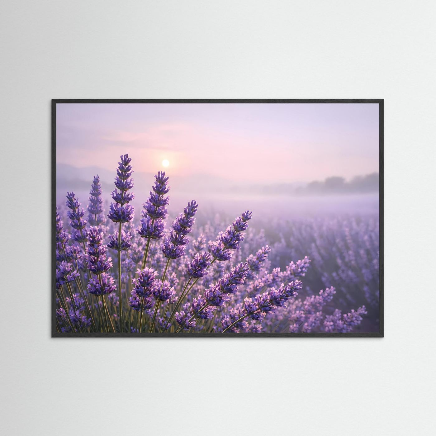 Sanfter Lavendelzauber im Morgenlicht | Panorama Blumenfeld & Natur Poster Querformat