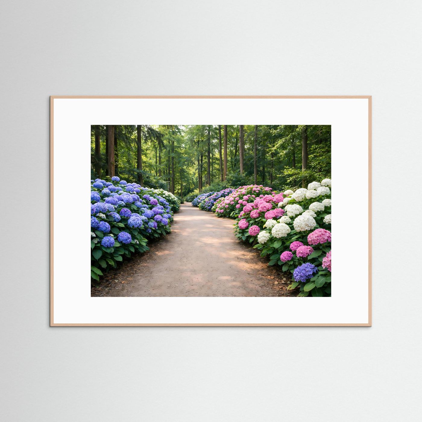 Blühende Hortensien-Allee im Park | Panorama Garten & Blumen Poster Querformat