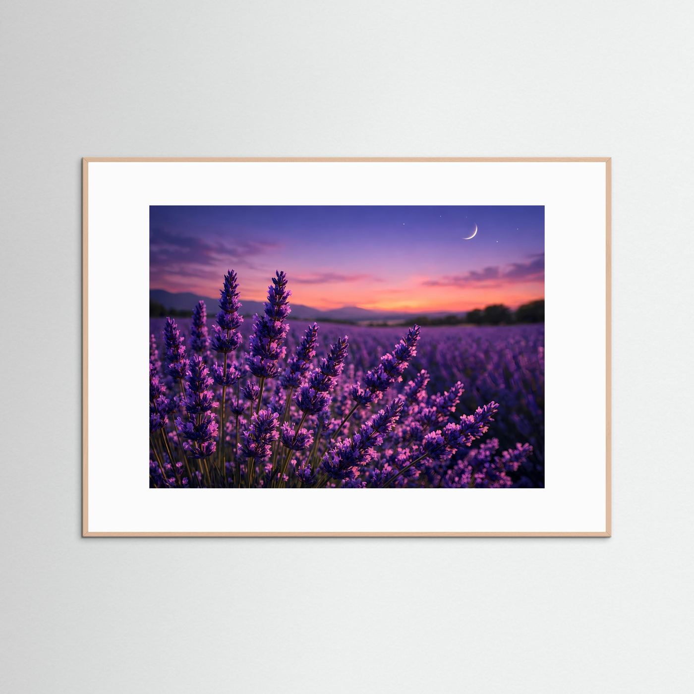 Lavendelnacht unter Sternen | Provence & Mondschein Panorama Poster Querformat