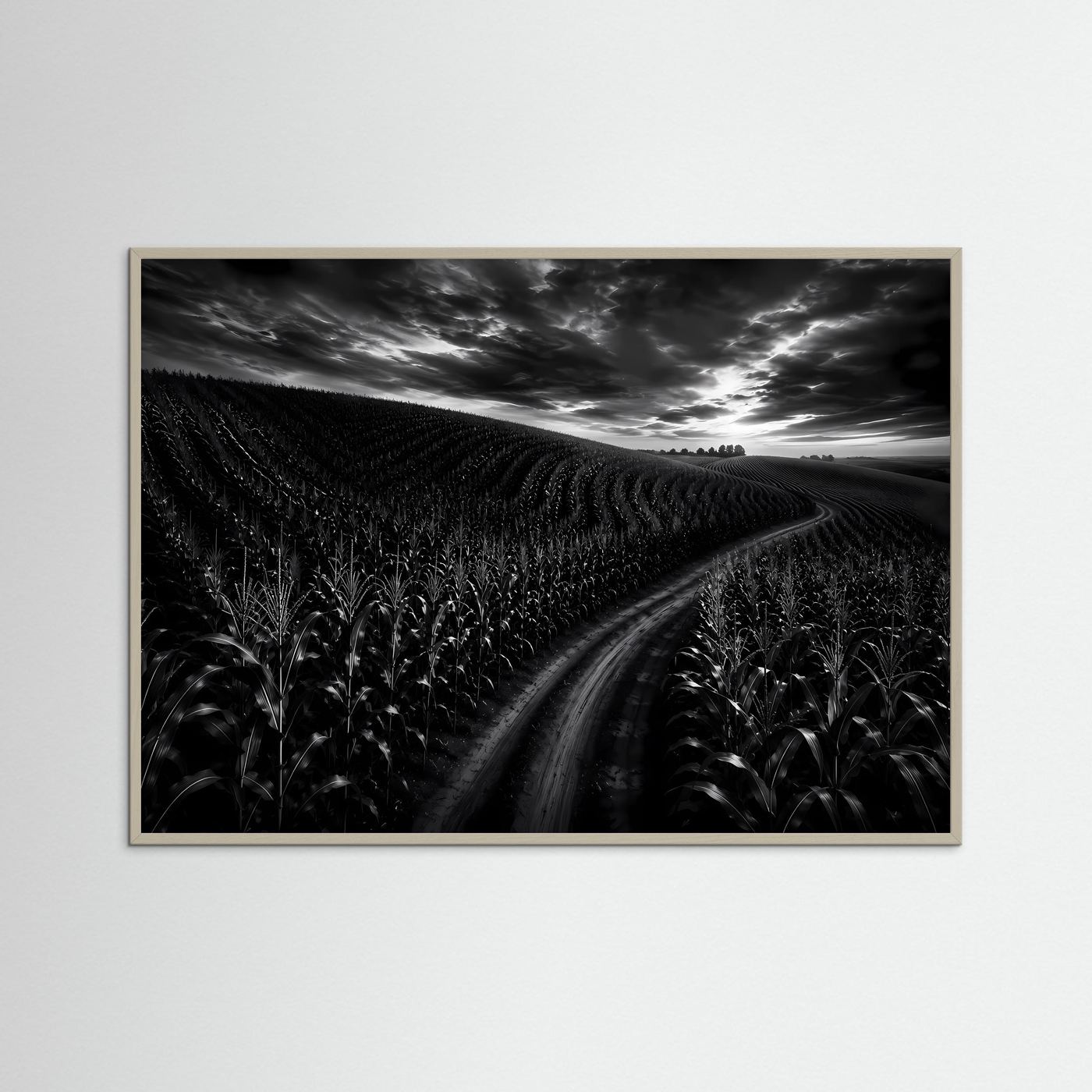 Schwarz Weiß Landschaft mit Feldweg | Dramatisches Natur Wandbild | Monochrome Landschaftsfotografie | Modernes Leinwandbild | Premium Poster