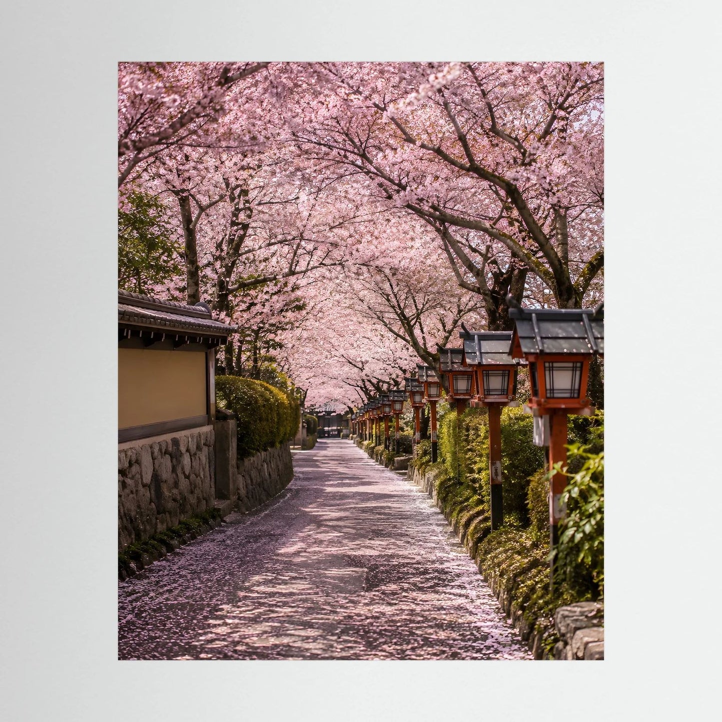 Hochformatiges Poster mit Kirschblütenallee und japanischen Laternen, rosa Blüten