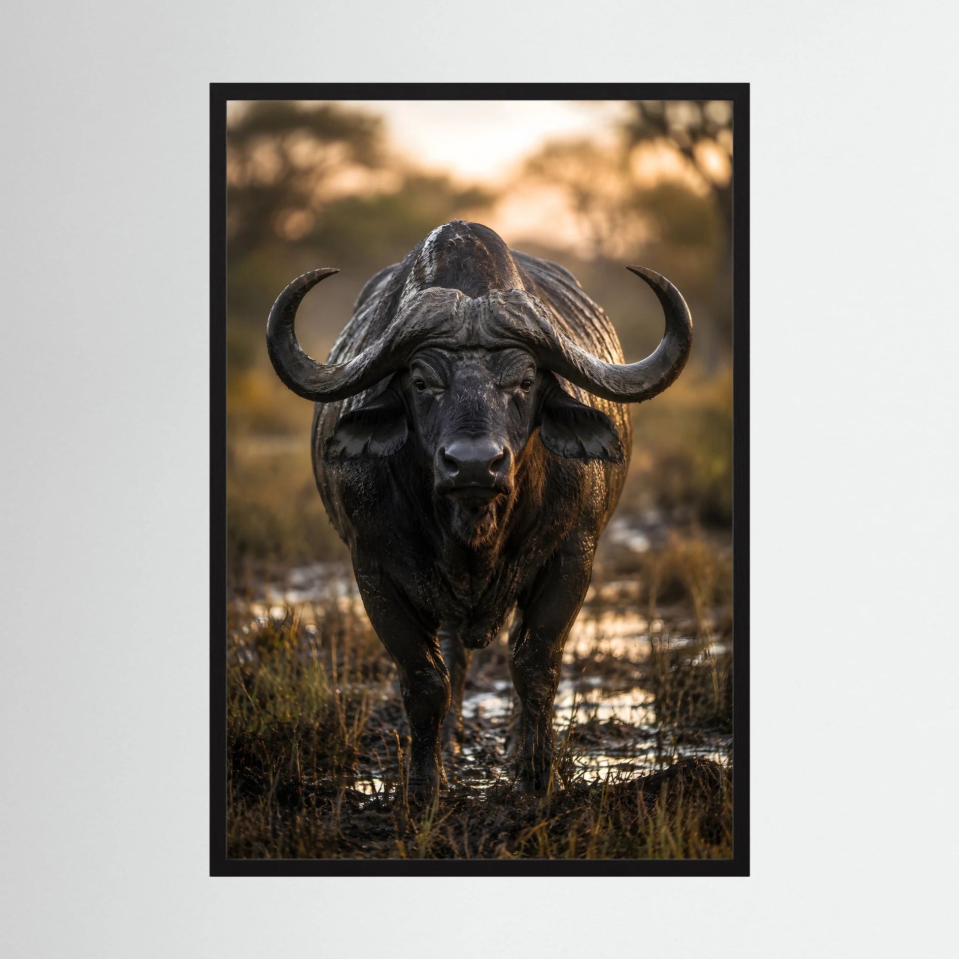 Tierposter mit Kaffernbüffel, schwarzer Rahmen, Hochformat
