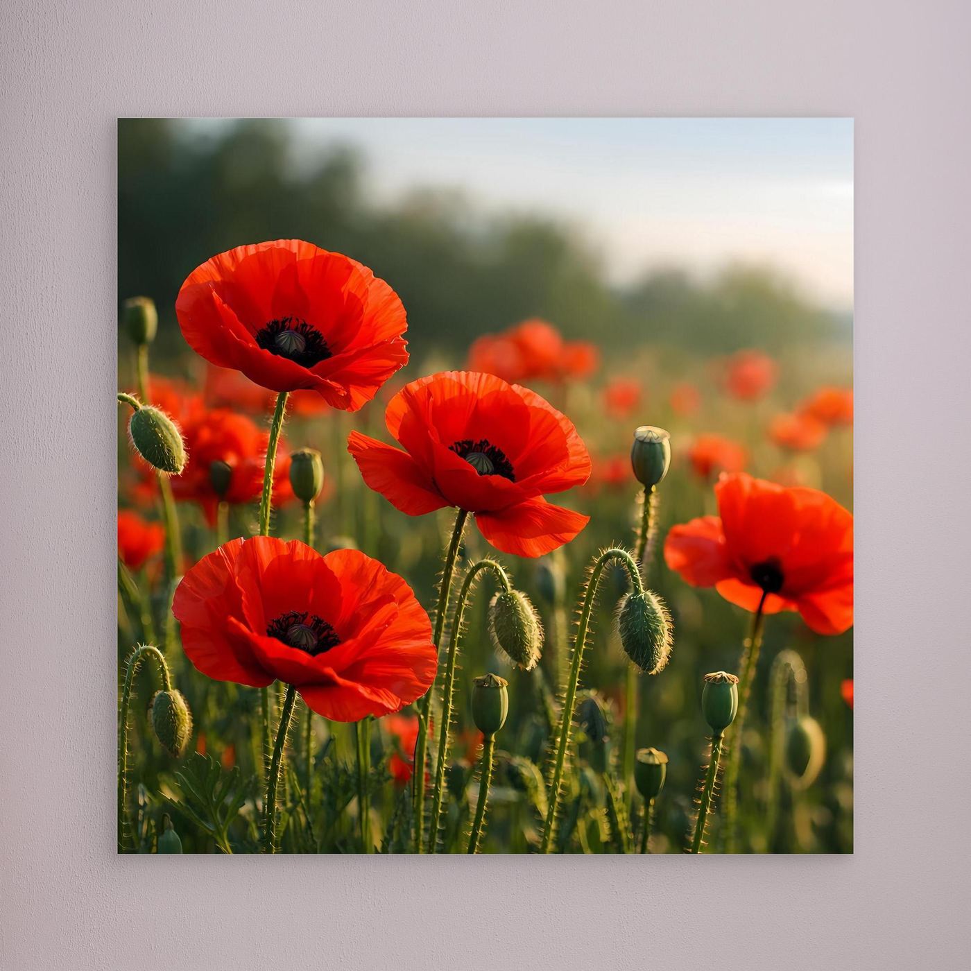 Wandbild mit rotem Klatschmohn auf grünem Feld, ohne sichtbaren Rahmen