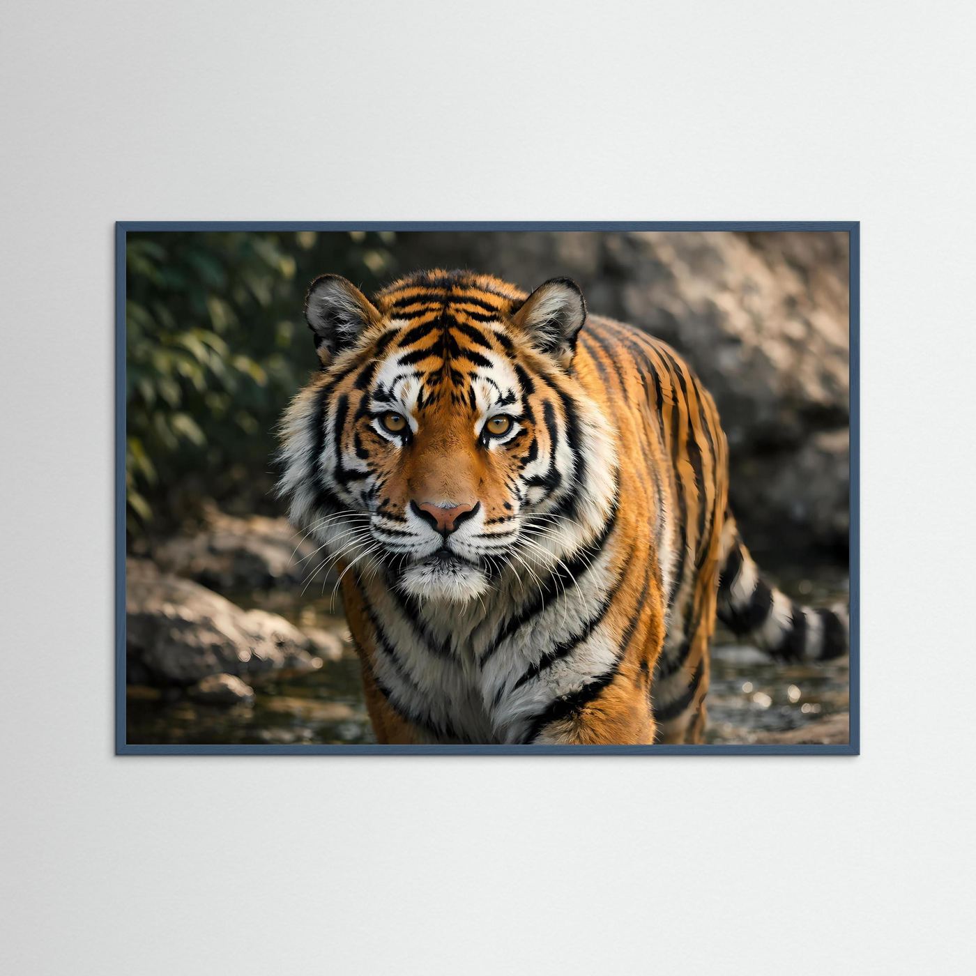 Tiger-Wandbild im Querformat mit blauem Rahmen: Blick des gestreiften Tigers