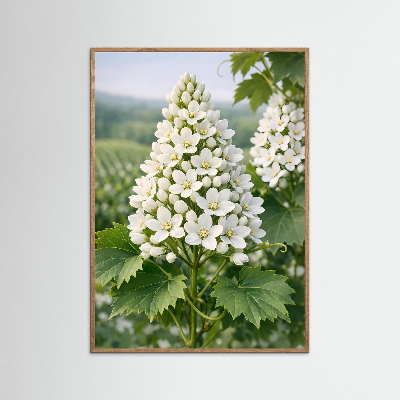 Botanisches Blütenposter mit weißen Blüten und grünen Blättern, brauner Holzrahmen, hochformatig.