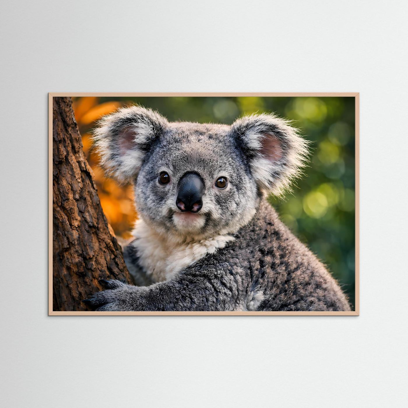 Gerahmtes Tierposter mit sitzendem Koala auf Baumstamm, brauner Rahmen