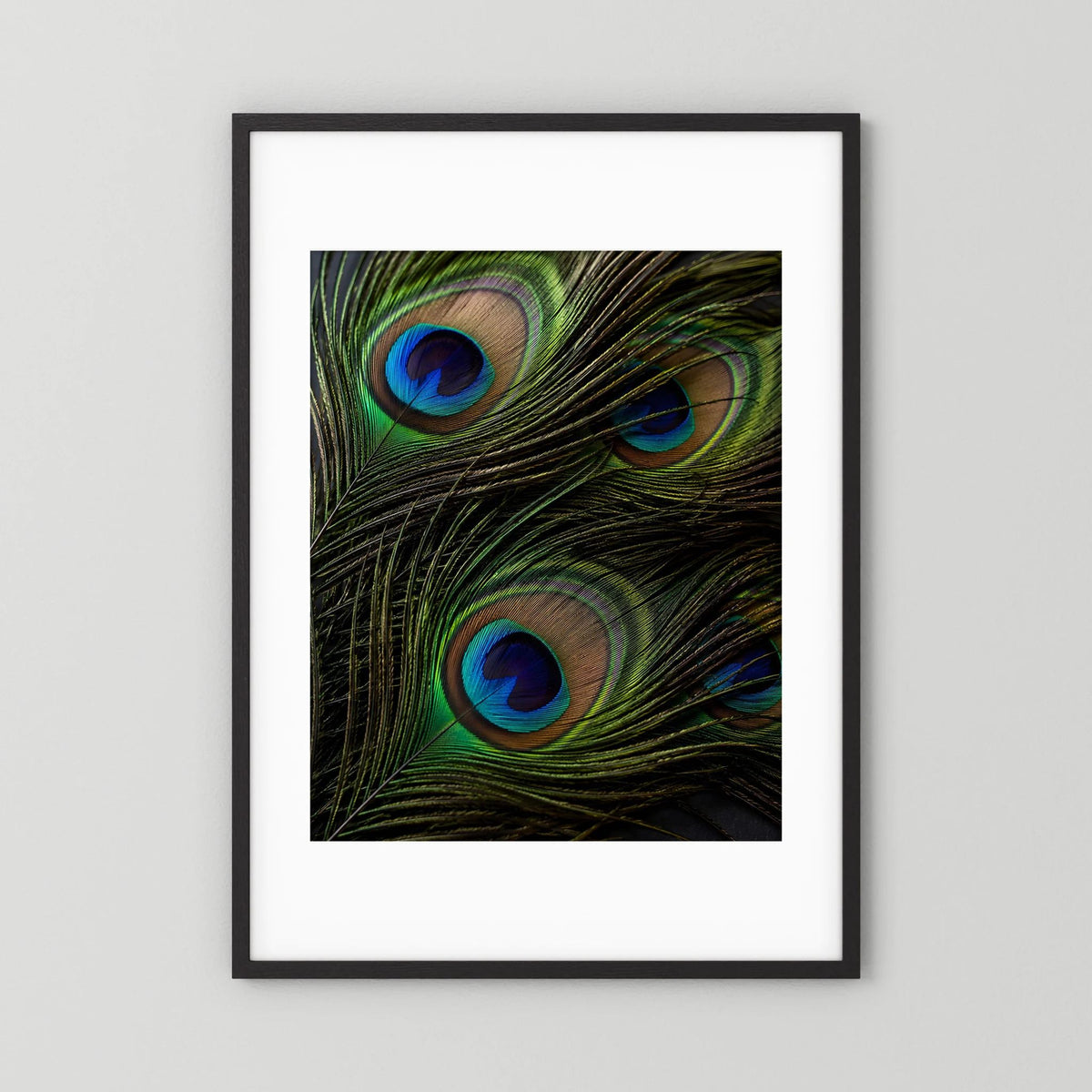 Gerahmtes Hochformat-Poster mit Pfauenfeder-Motiv: grün-schwarz, blaue Augen im schwarzen Rahmen.