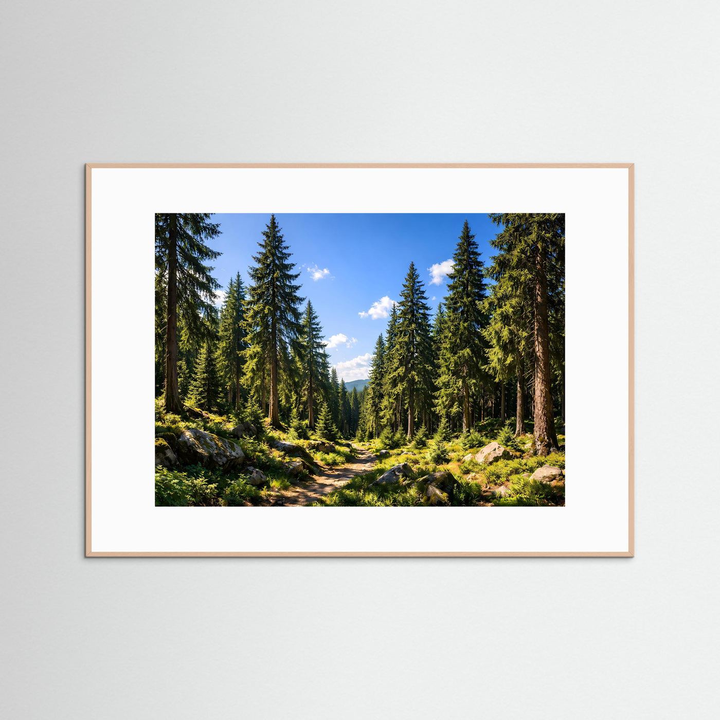 Sonniger Nadelwald im Sommer | Panorama Pfad & Natur Poster Querformat