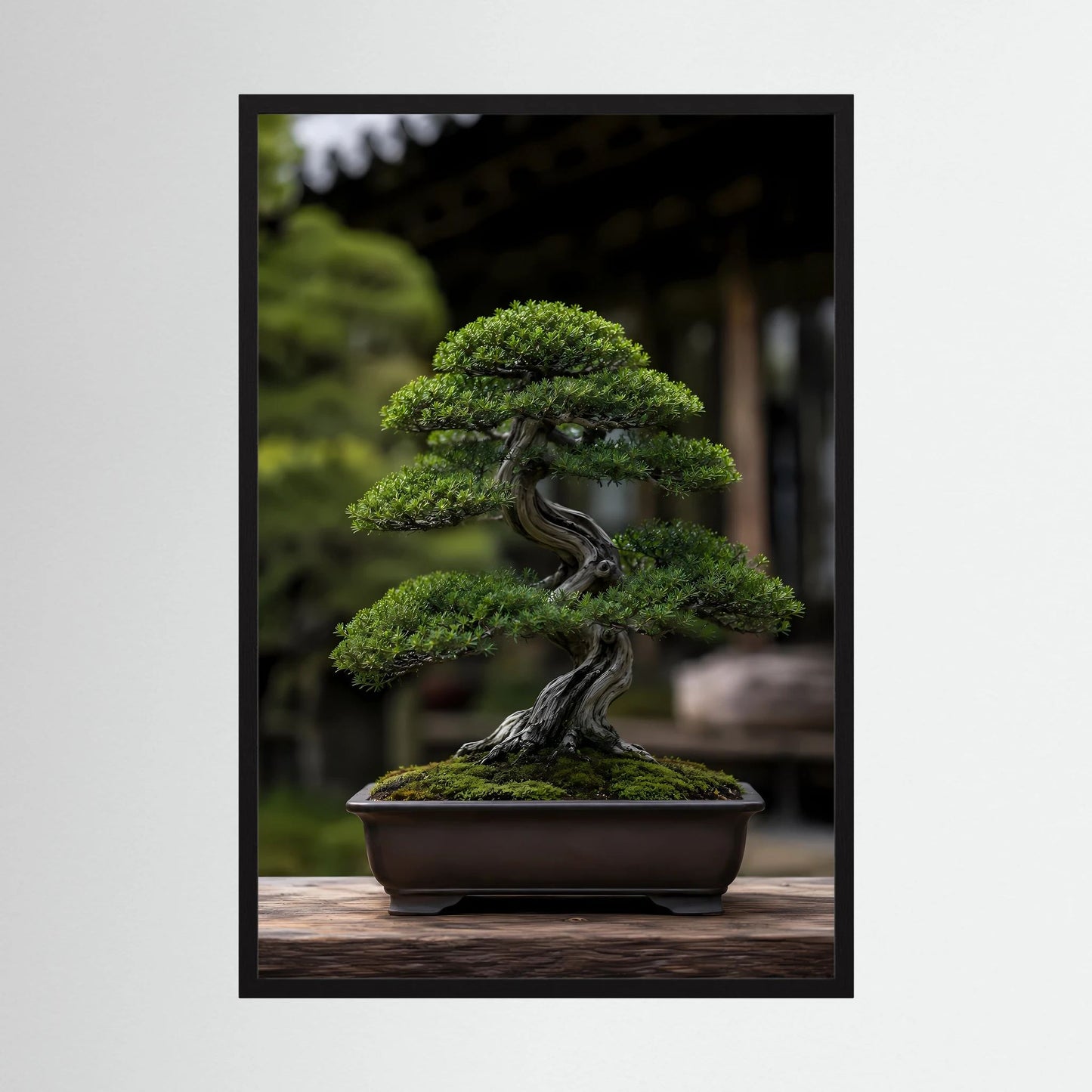 Hochformat-Poster mit Bonsai im Schalengefäß, grüne Krone und dunkler, gedrehter Stamm im Holzrahmen.