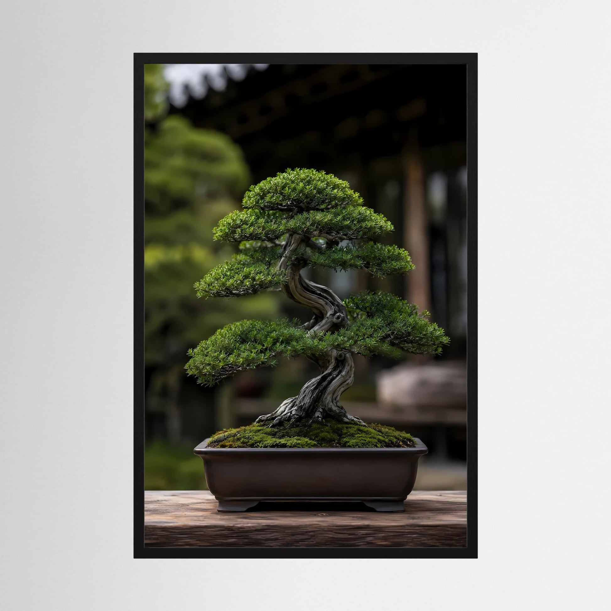 Hochformat-Poster mit Bonsai im Schalengefäß, grüne Krone und dunkler, gedrehter Stamm im Holzrahmen.