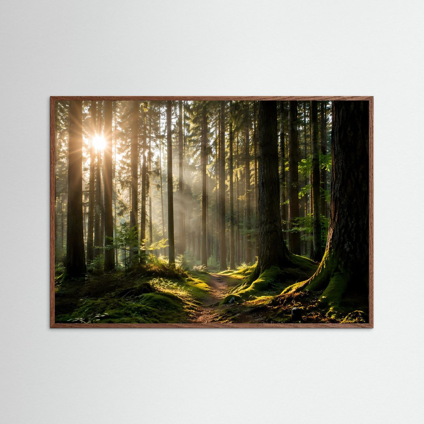 Sonnenstrahlen im Wald | Mystische Waldlandschaft Wandkunst