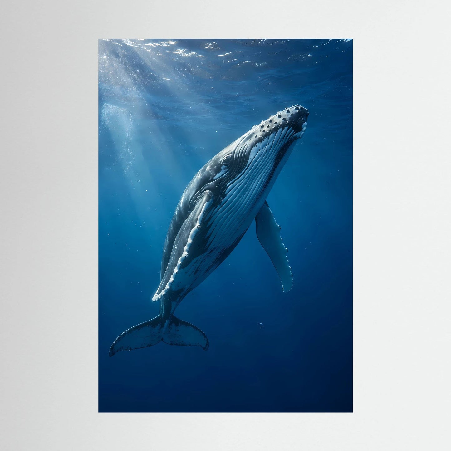Poster im Hochformat mit Buckelwal unter Wasser, blauer Farbwelt