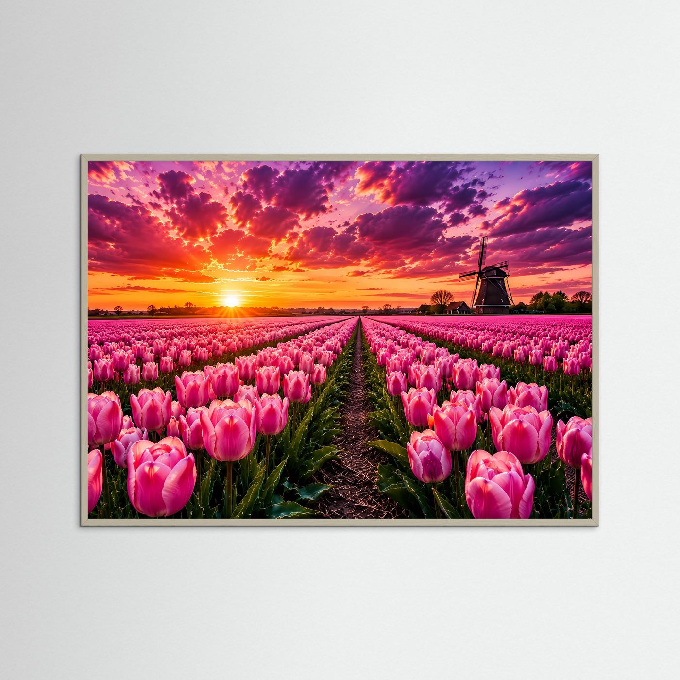 Rosa Tulpenfeld bei Sonnenuntergang | Holland Windmühle Landschaft