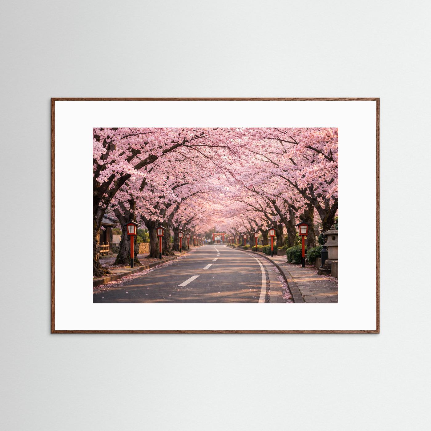Braun gerahmtes Poster mit Kirschblütenallee im Frühling, rosa Blüten über Landstraße