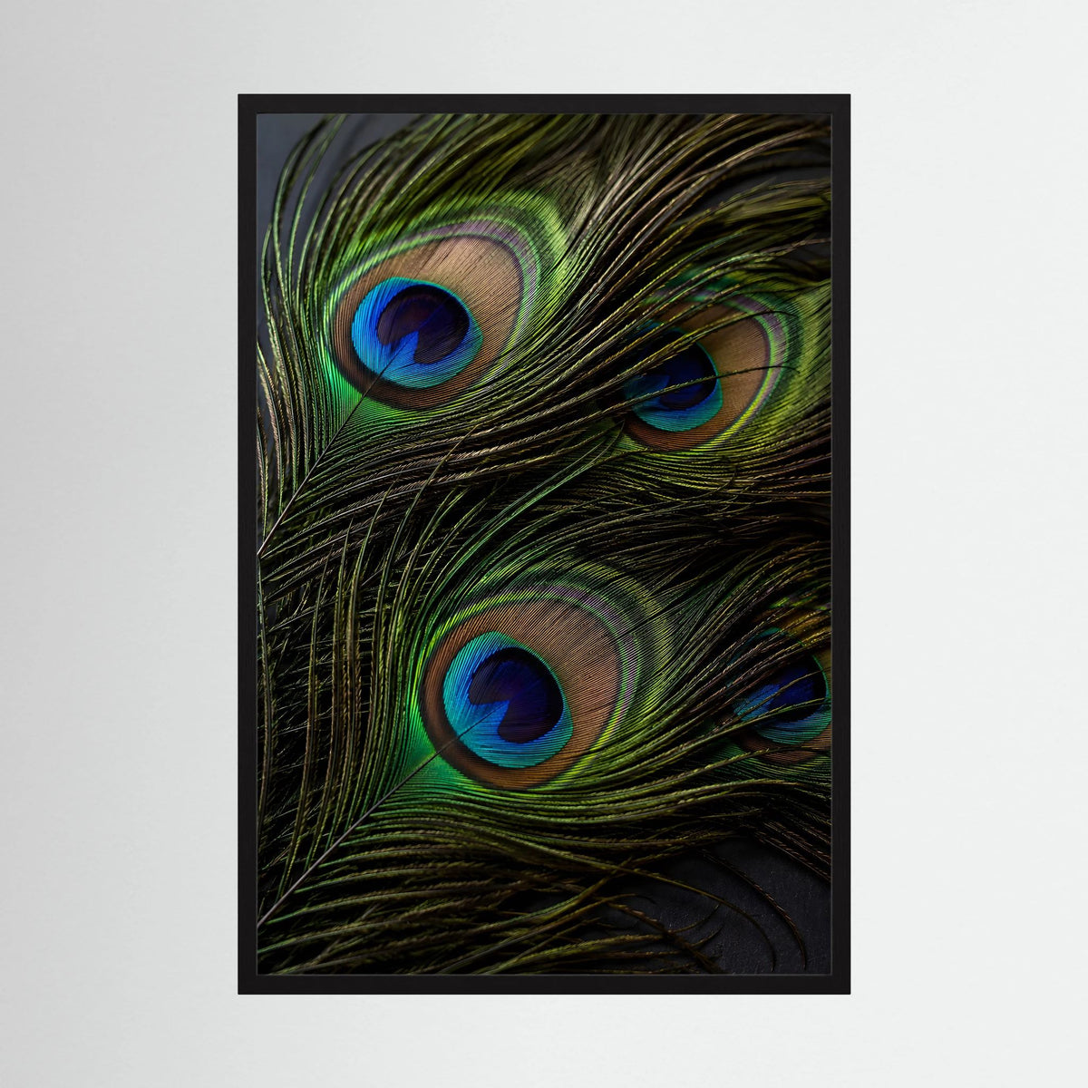 Hochformat-Poster mit Pfauenfedern: grüne Schwingen und blaue Augen in schwarzem Randrahmen.