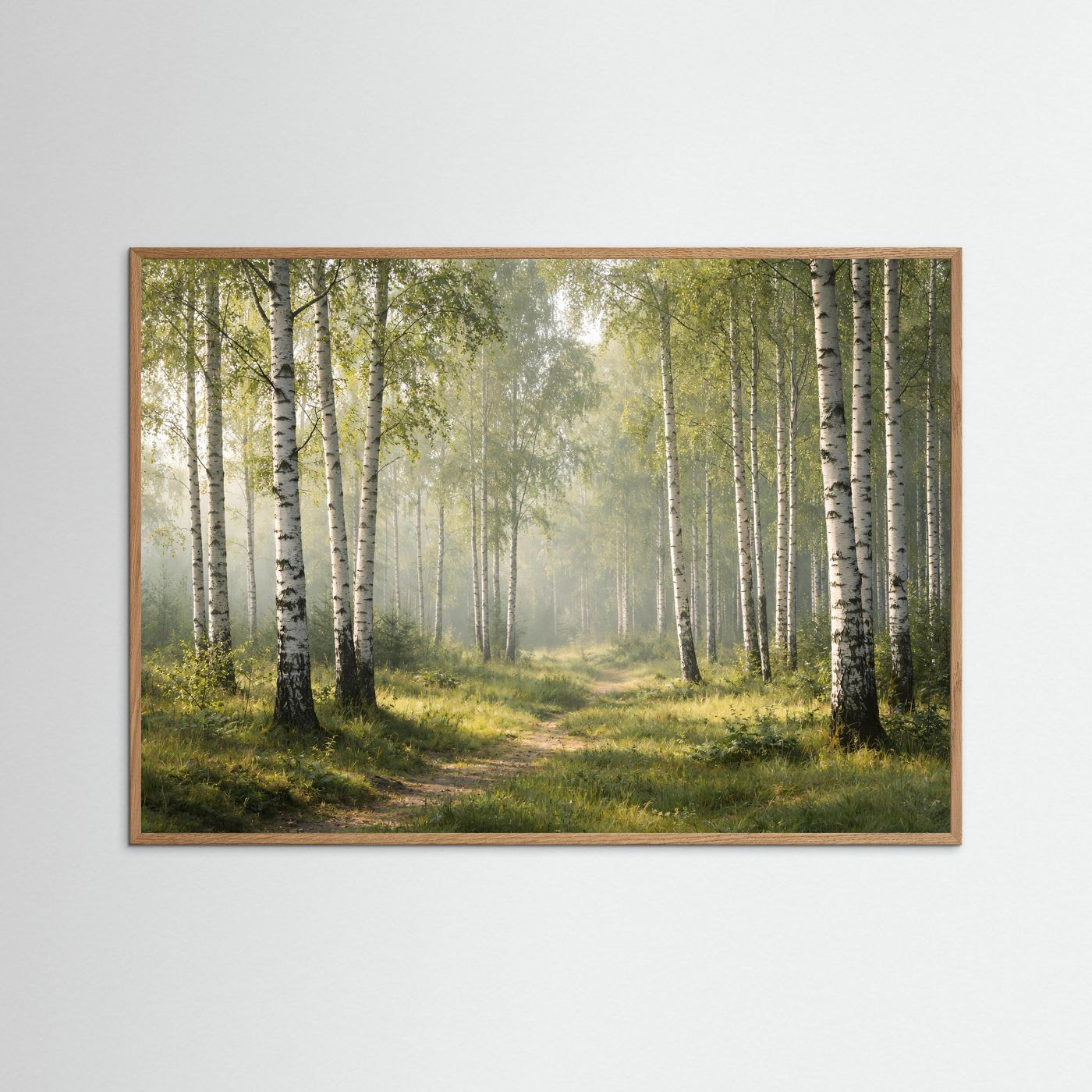 Lichtdurchfluteter Birkenhain im Morgenlicht | Panorama Wald & Natur Poster Querformat