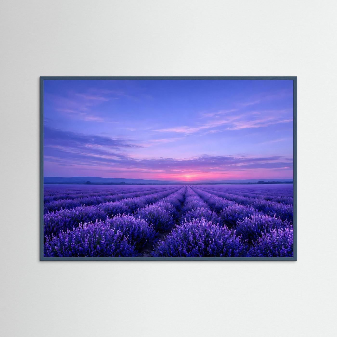 Poster Lavendelfeld im Sonnenuntergang | Majestätisches Violettes Wandbild