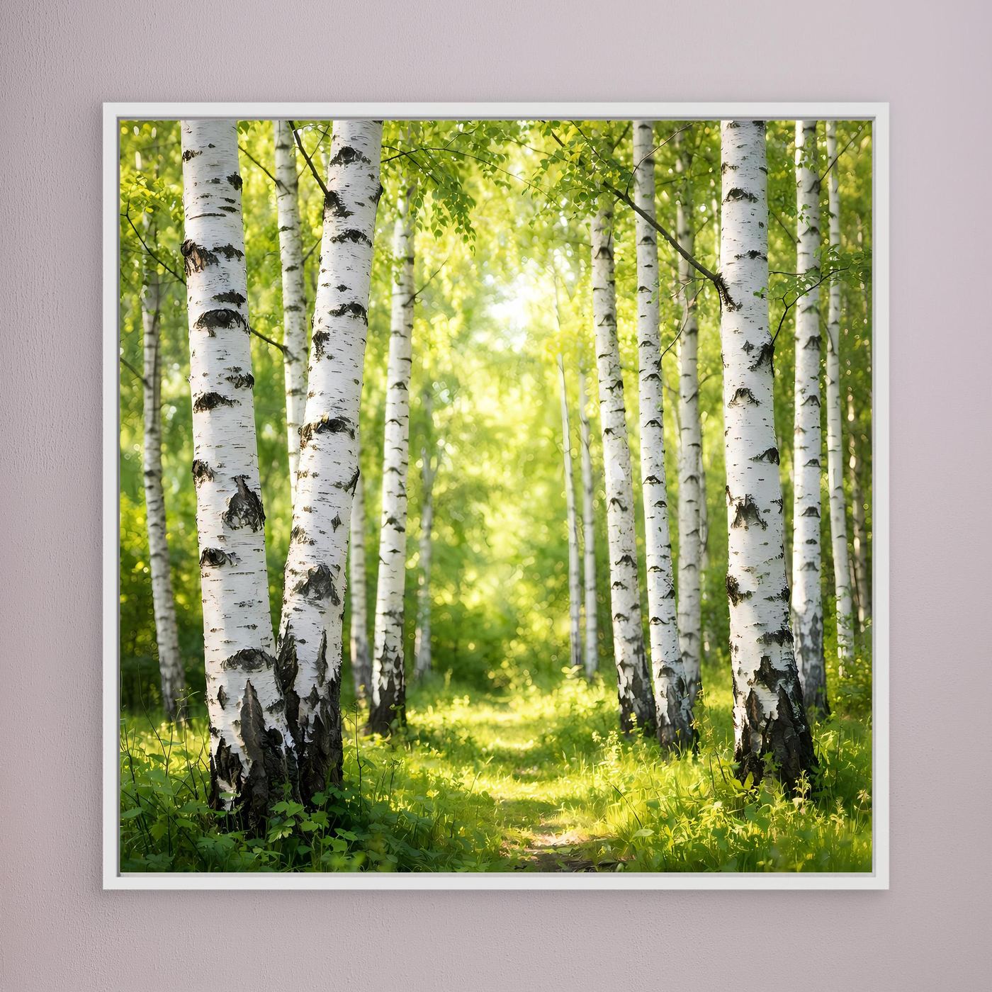 Leinwandbild Birkenwald mit Sonnenlicht, weißer Rahmen