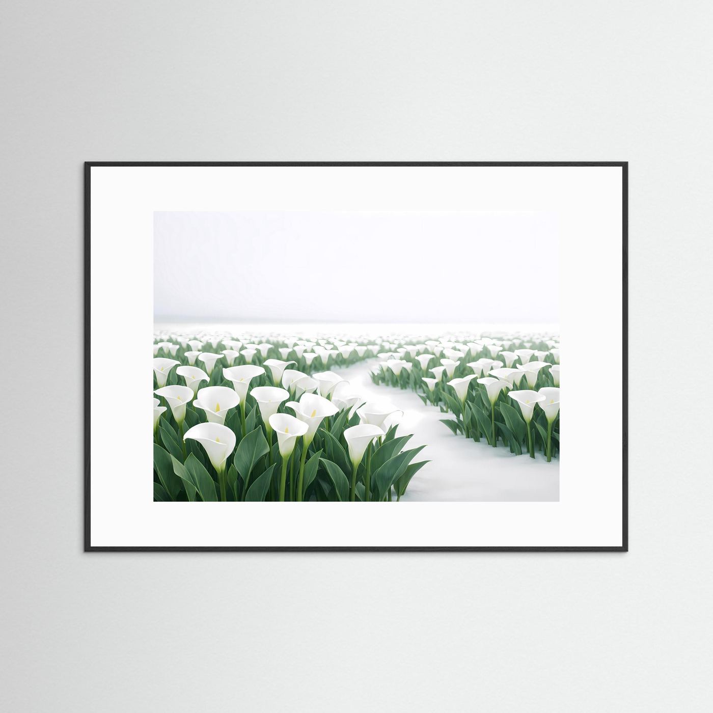 Weiße Calla Lilien im Schnee | Elegantes Blumen & Natur Poster Querformat