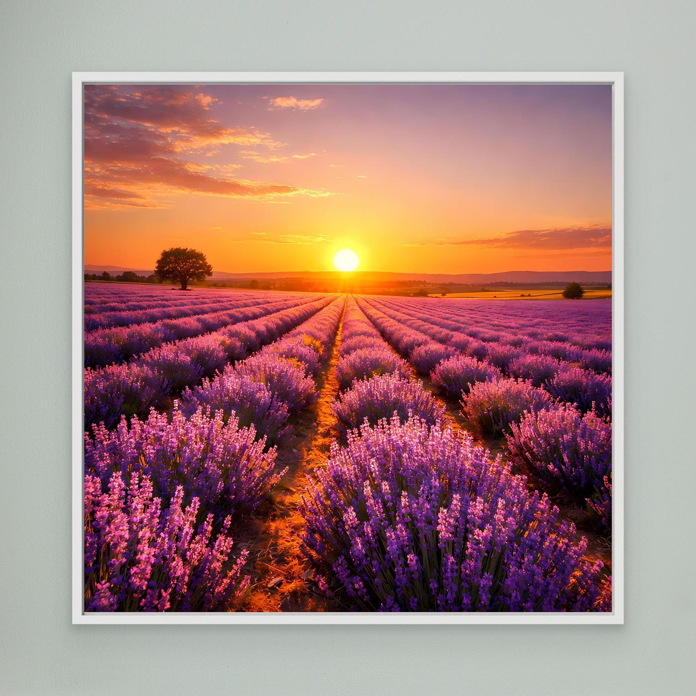 Leinwandbild mit Lavendelfeld bei Sonnenuntergang, helles Rahmenprofil