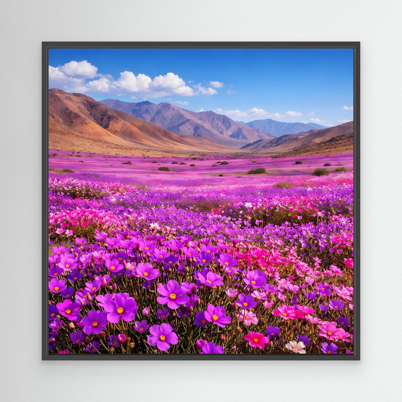 Leinwandbild mit lila Blumenwiese und Berglandschaft im schwarzen Rahmen