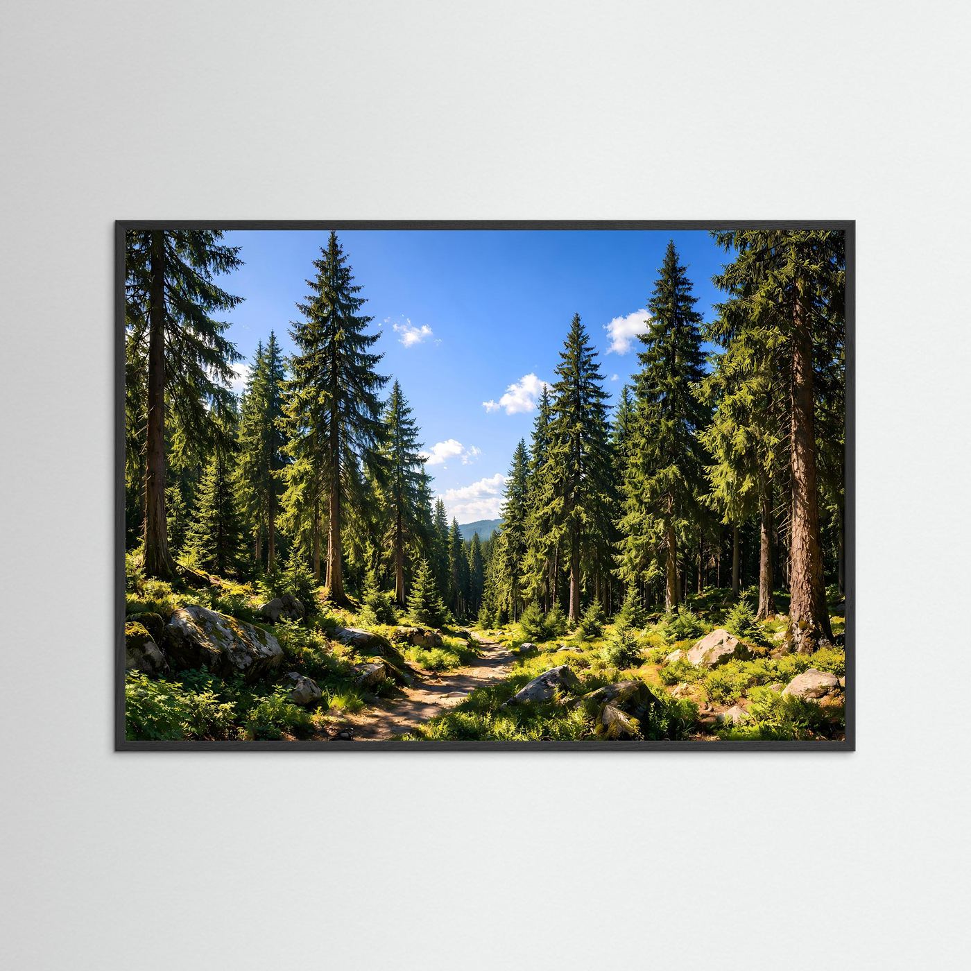 Sonniger Nadelwald im Sommer | Panorama Pfad & Natur Poster Querformat