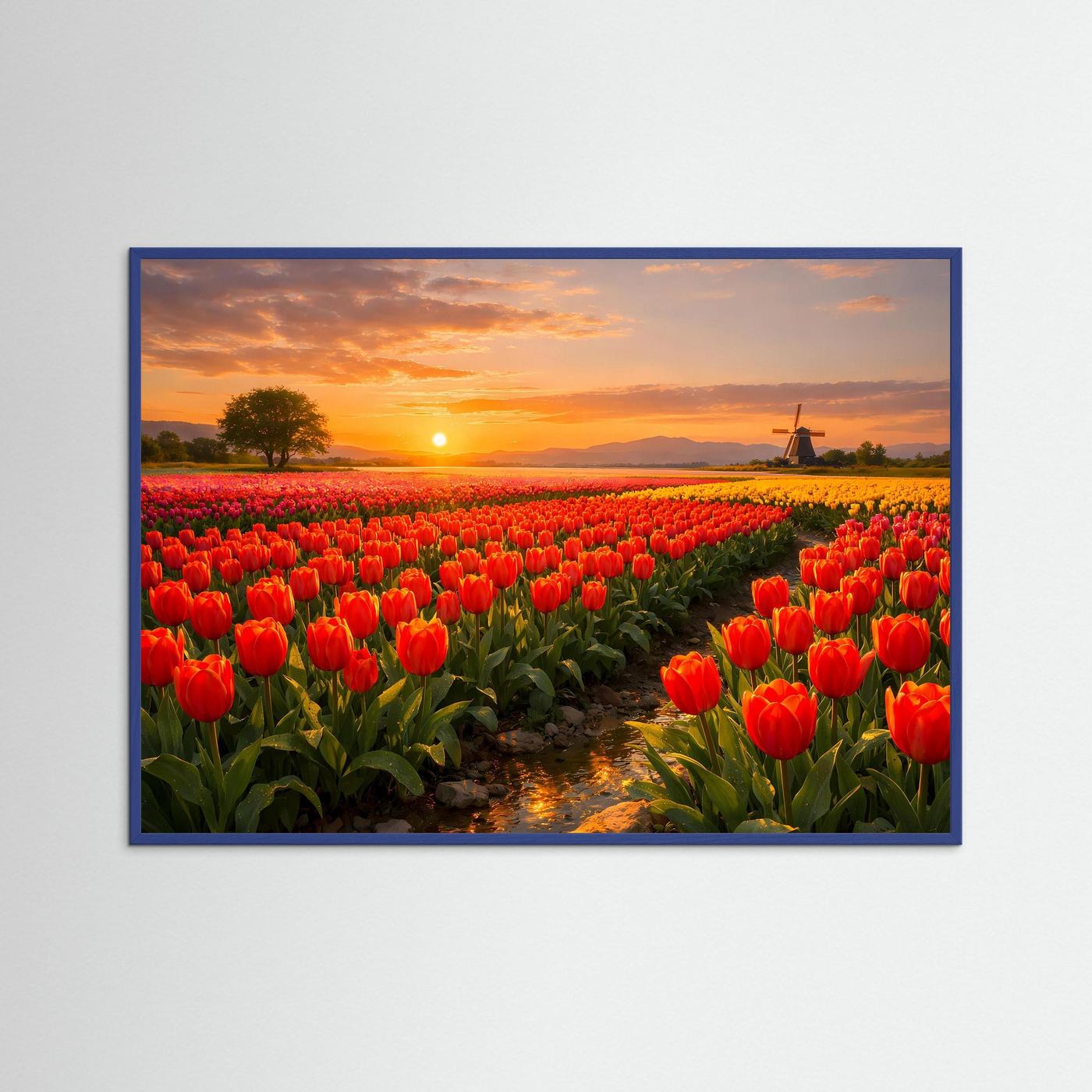 Gerahmtes Poster mit rotem Tulpenfeld und Windmühle zur Abendsonne im blauem Rahmen