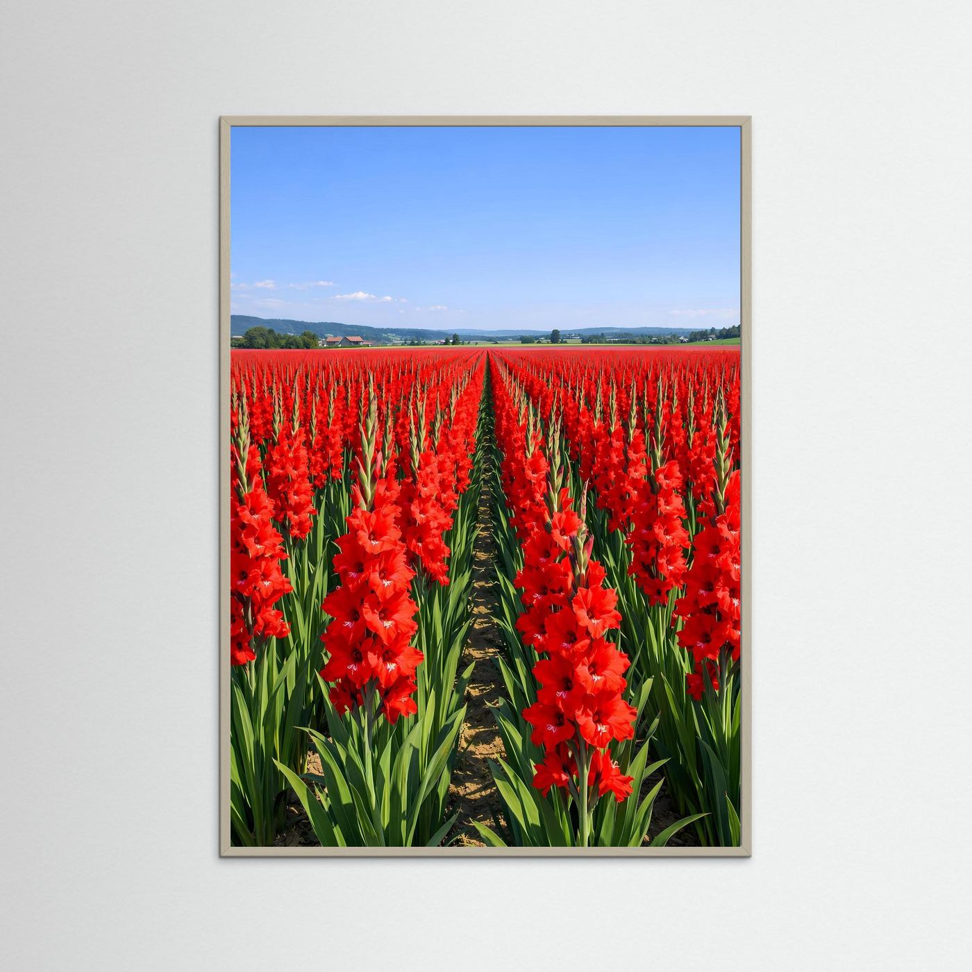 Wandbild mit rotem Gladiolenfeld, hellgrauer Rahmung und weißem Rand