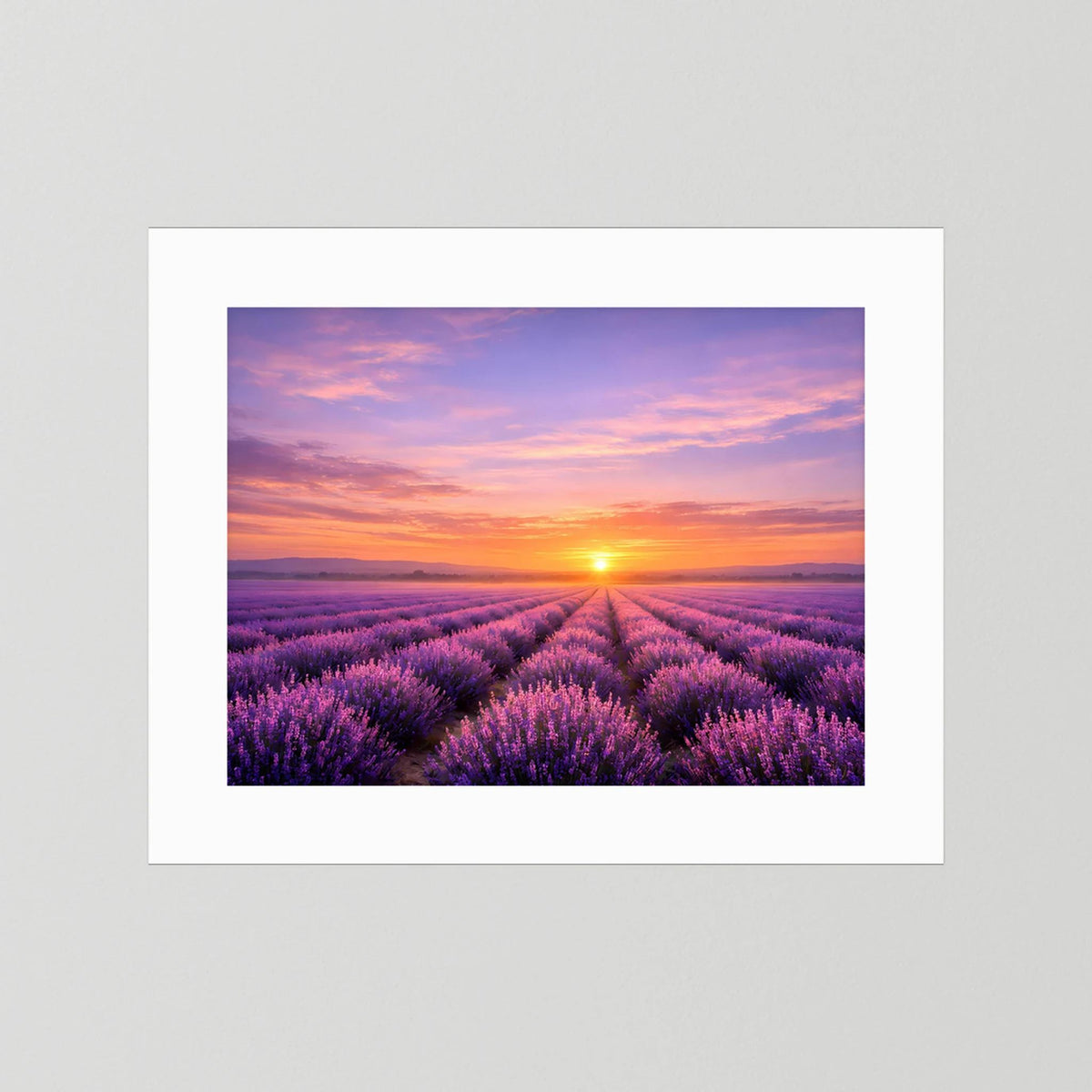 Poster im Querformat mit Lavendelfeld und Sonnenuntergang, weißer Rand