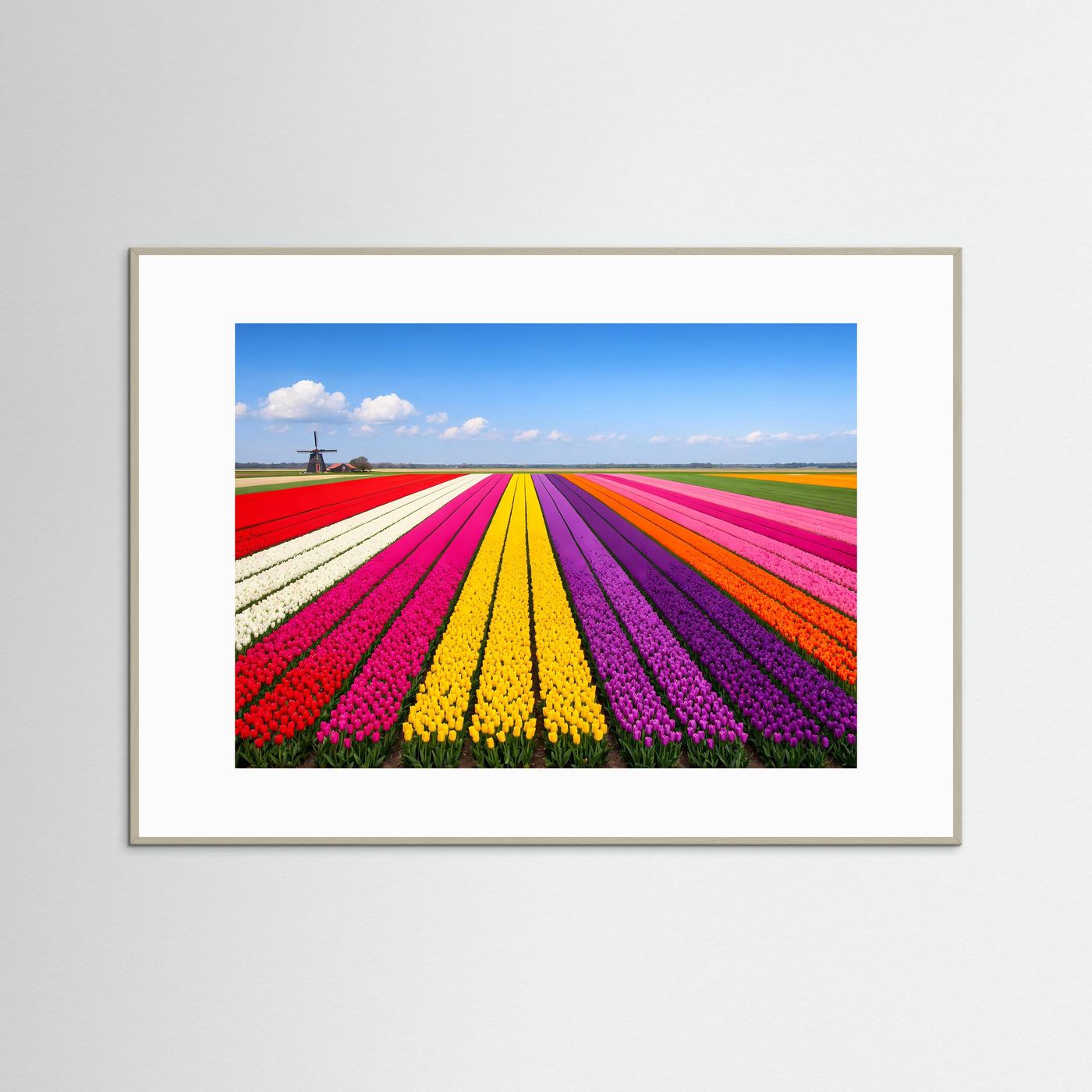 Gerahmtes Panorama-Poster mit buntem Tulpenfeld und Windmühle, grauer Holzrahmen.