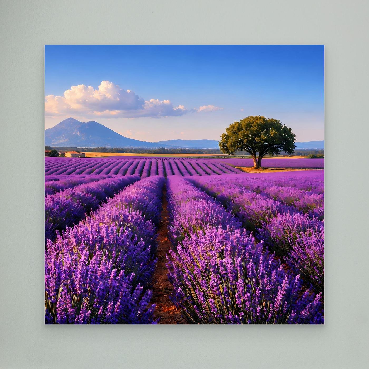 Leinwand-Landschaftsbild mit Lavendelfeld und Baum am Himmel, ohne sichtbaren Rahmen