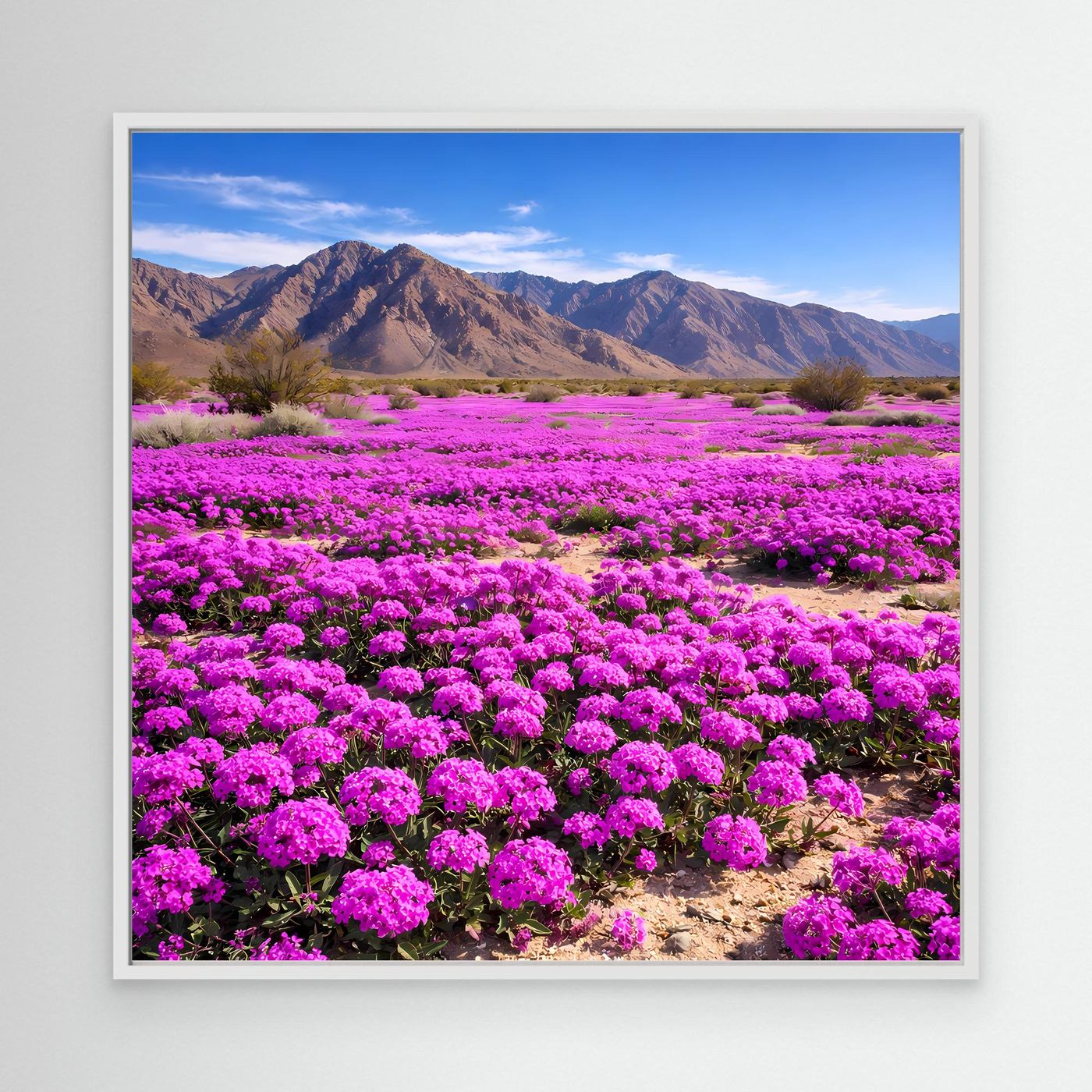 Leinwandbild mit violettem Blütenfeld und Bergpanorama, weißer Rahmen