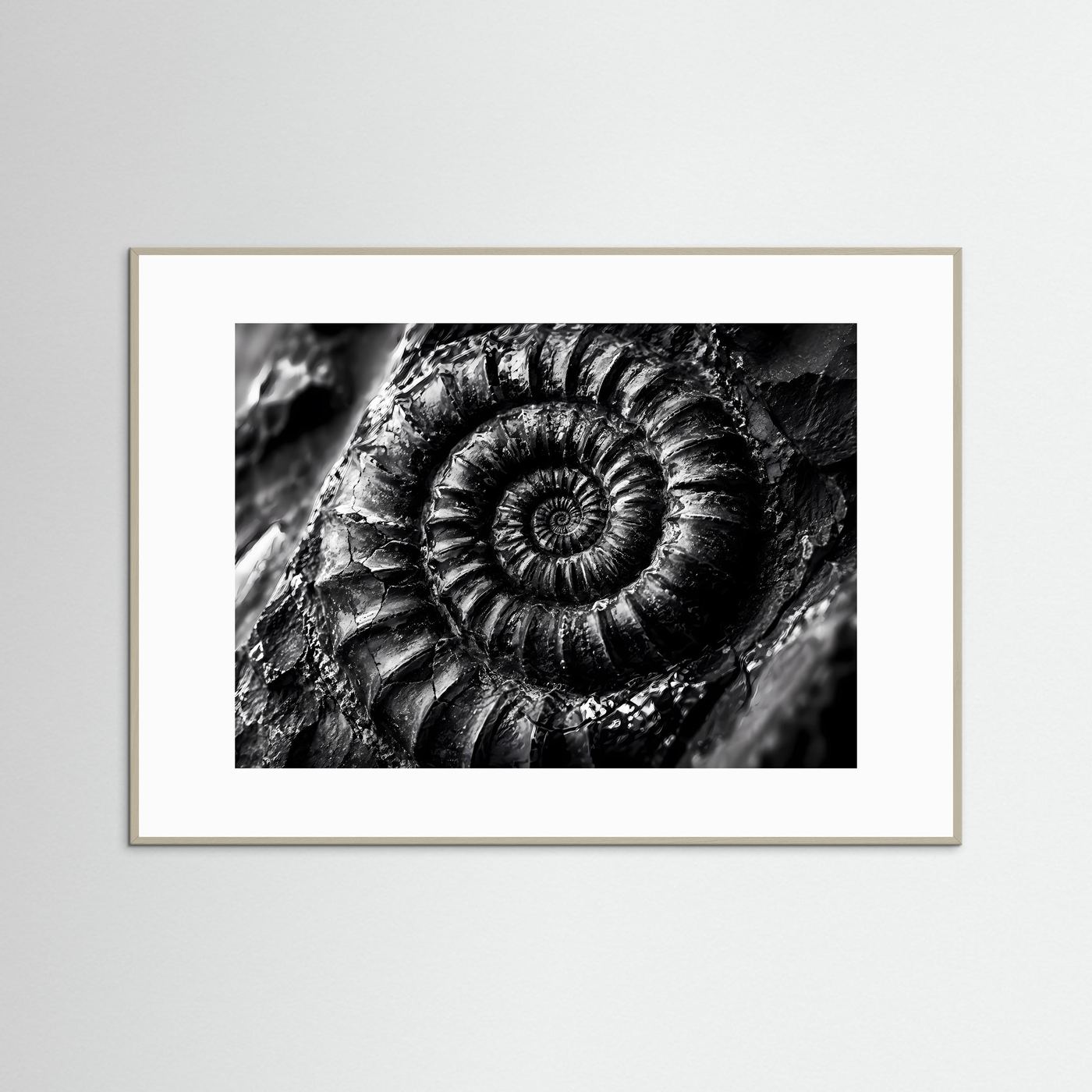 Ammonit Fossil Schwarz Weiß Poster | Makro Fossilien Wandkunst | Monochrome Naturkunst | Geologie Leinwand | Modernes Spiral Fossil Bild