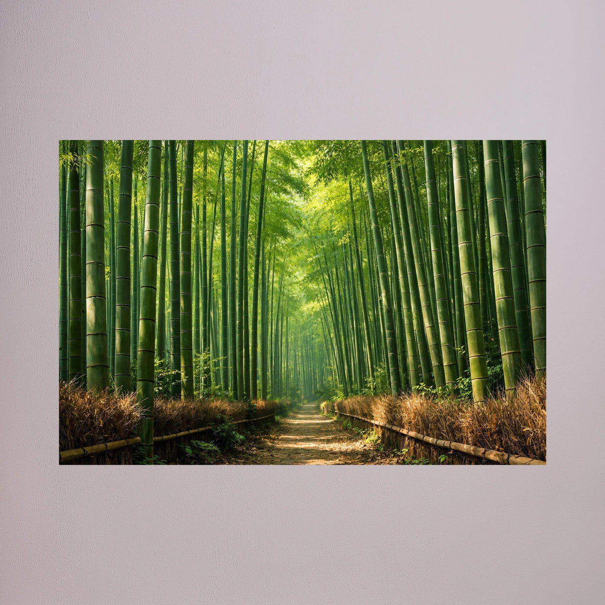 Poster im Querformat: grüner Bambuswald mit Sonnenlicht und Weg