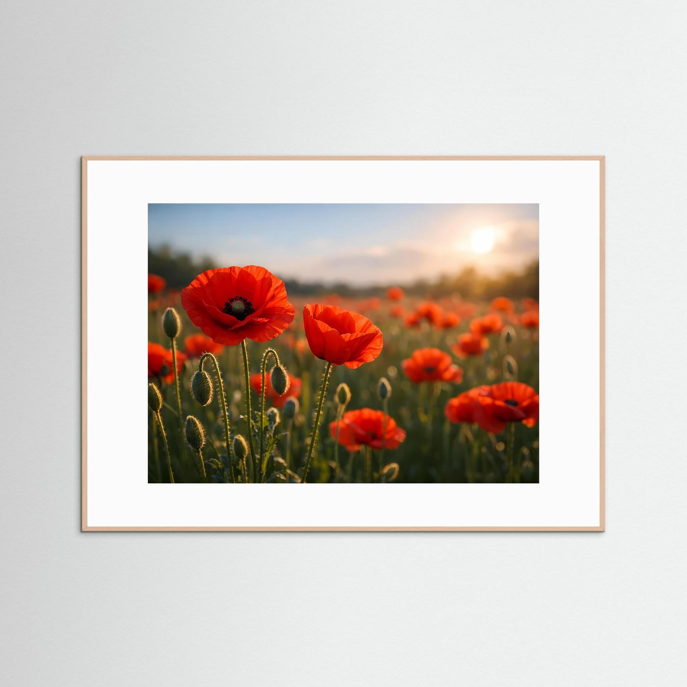 Blumenposter mit roten Mohnblumen im Sonnenuntergang, hellbrauner Holzrahmen