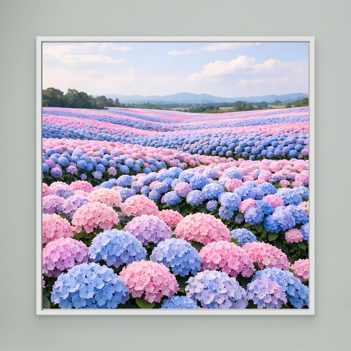 Leinwandbild mit Hortensienfeld in Pastellrosa und Blau, weiß gerahmt