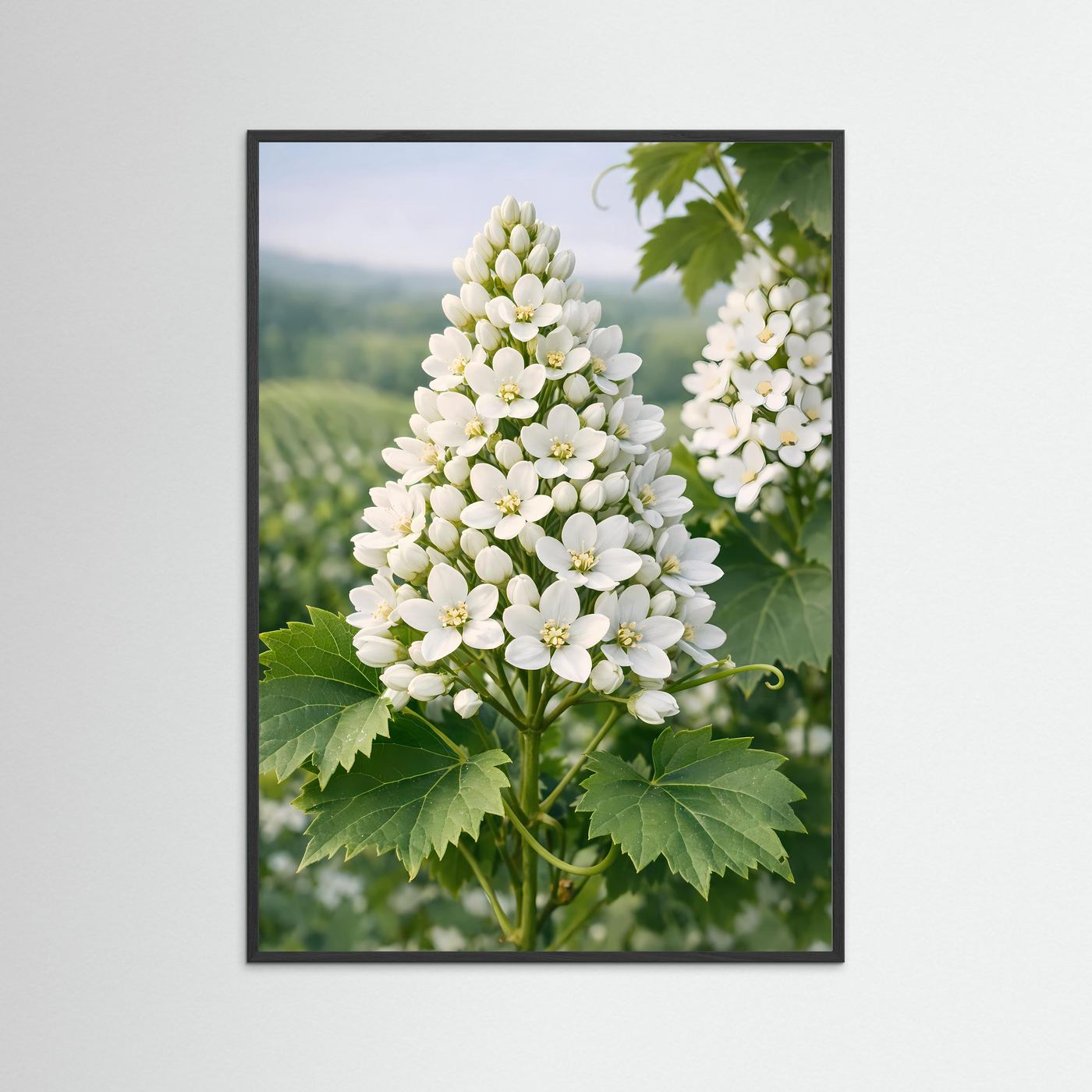 Botanisches Blütenposter mit weißen Blüten und grünen Blättern, schwarz gerahmt, hochformatig.