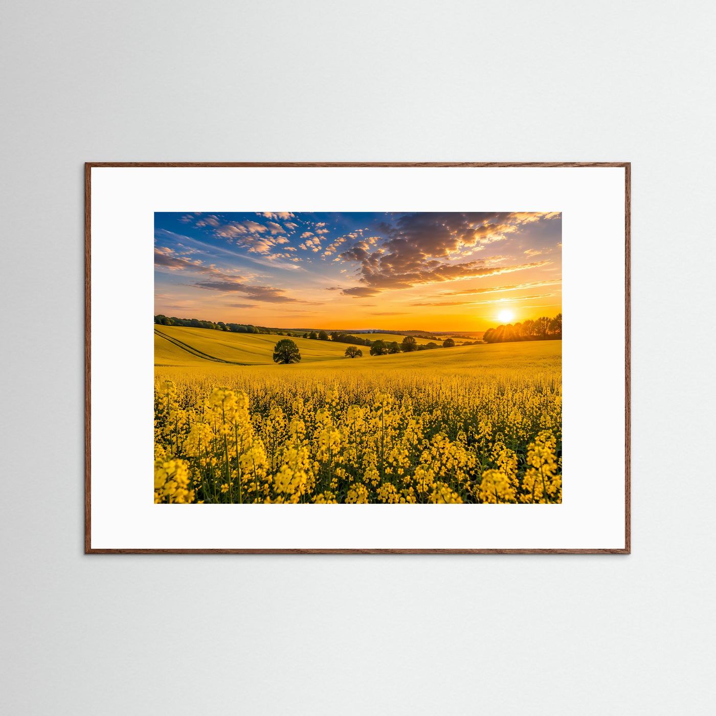 Rapsfeld Poster Querformat | Gelbe Blütenlandschaft bei Sonnenuntergang