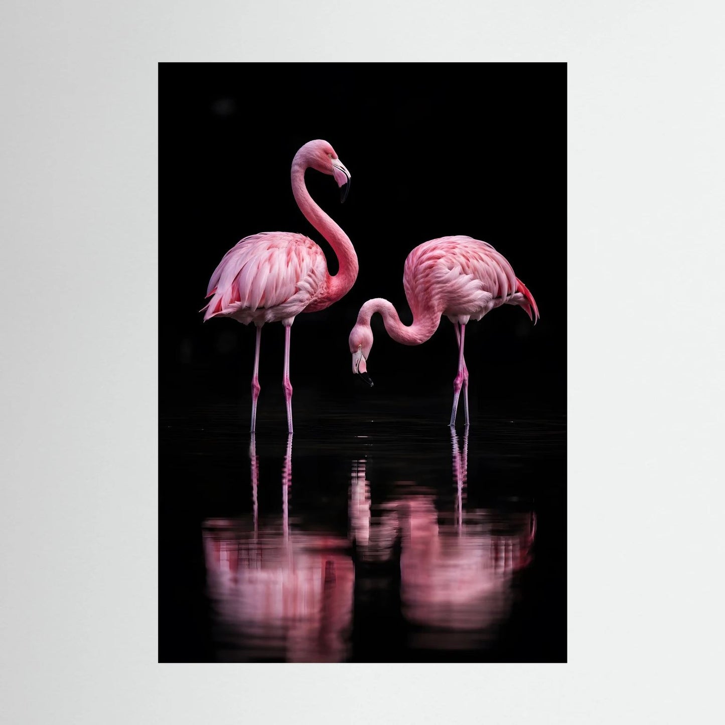 Tierposter mit zwei rosa Flamingos und Spiegelung, Nahansicht, Hochformat