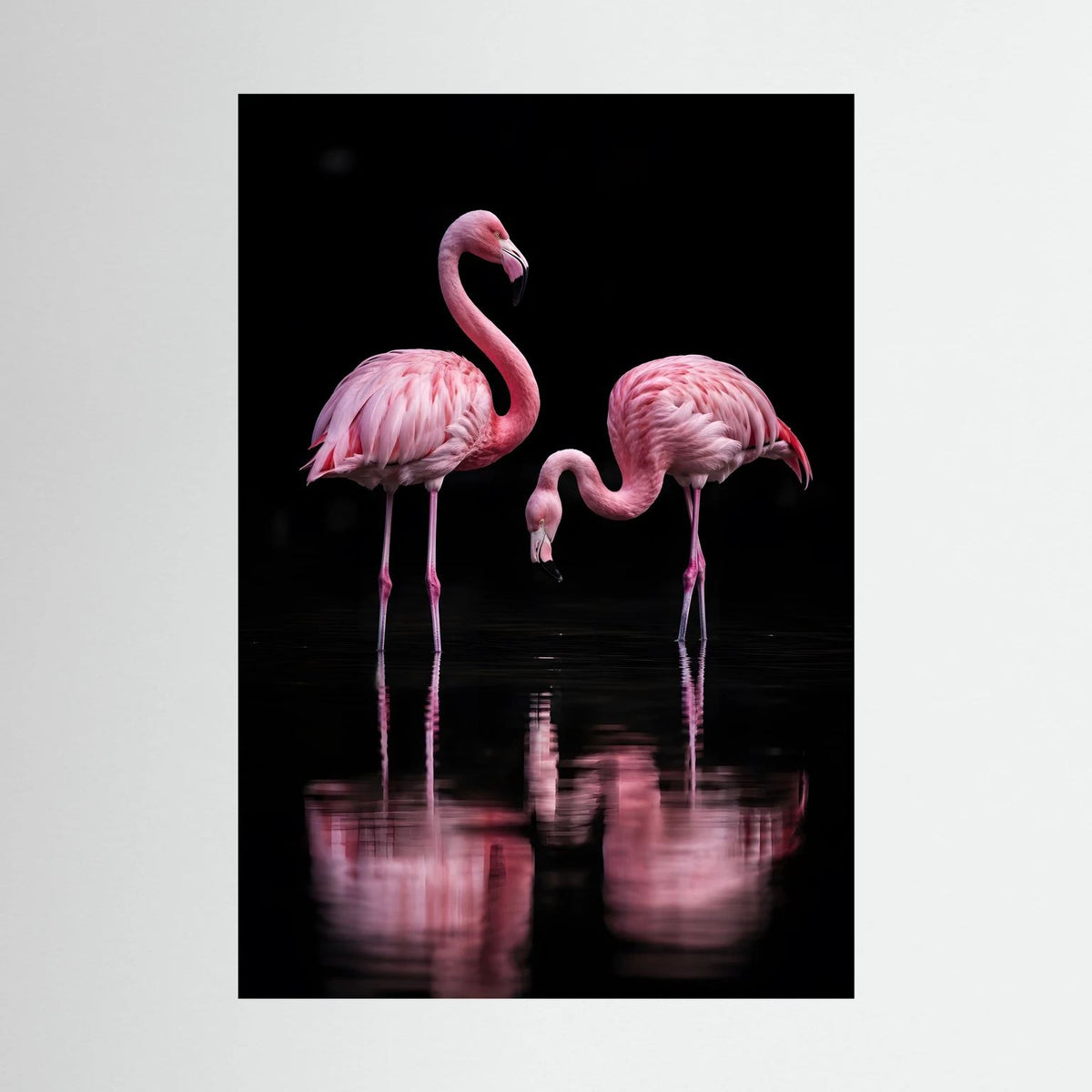 Tierposter mit zwei rosa Flamingos und Spiegelung, Nahansicht, Hochformat