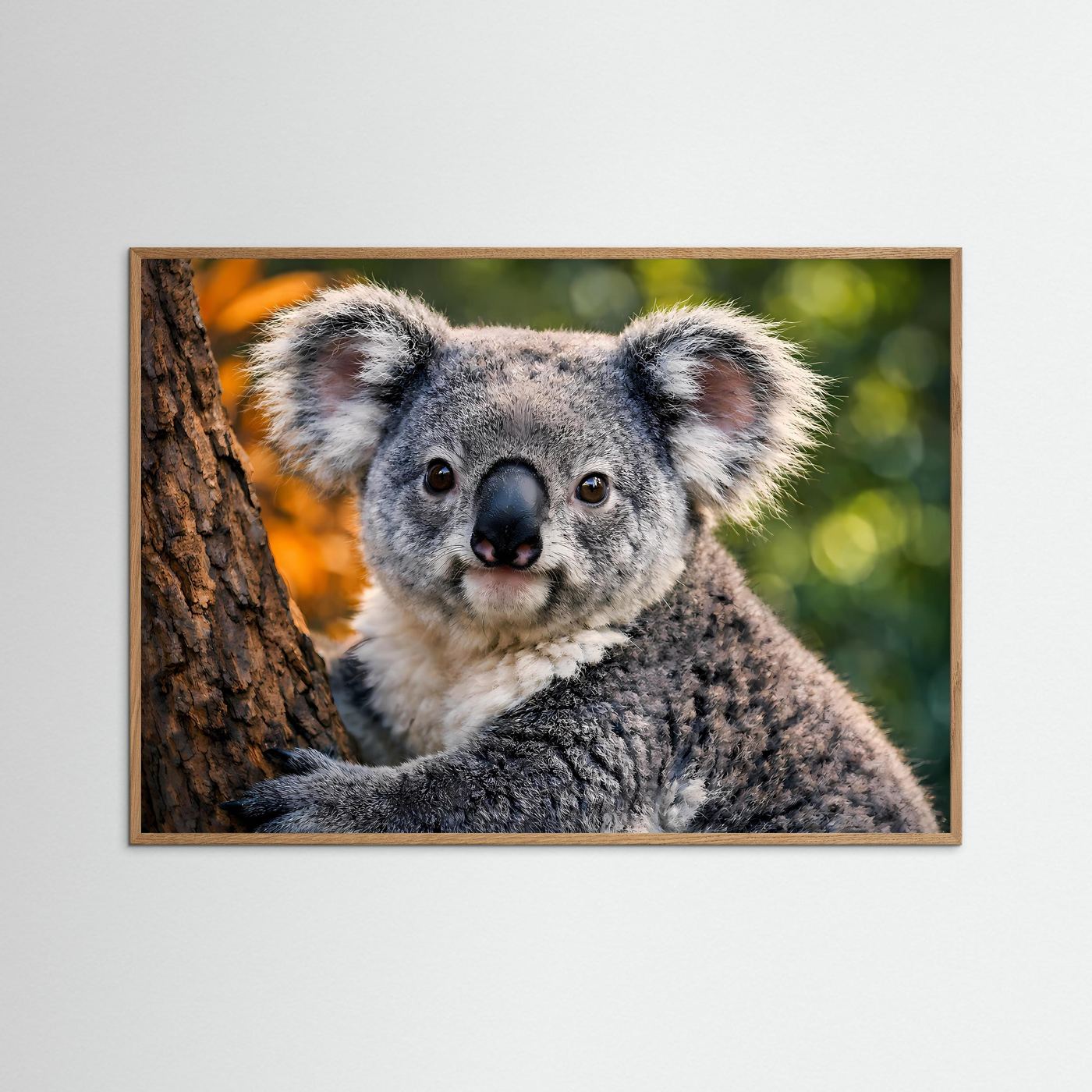 Gerahmtes Tierposter mit sitzendem Koala auf Baumstamm, brauner Rahmen