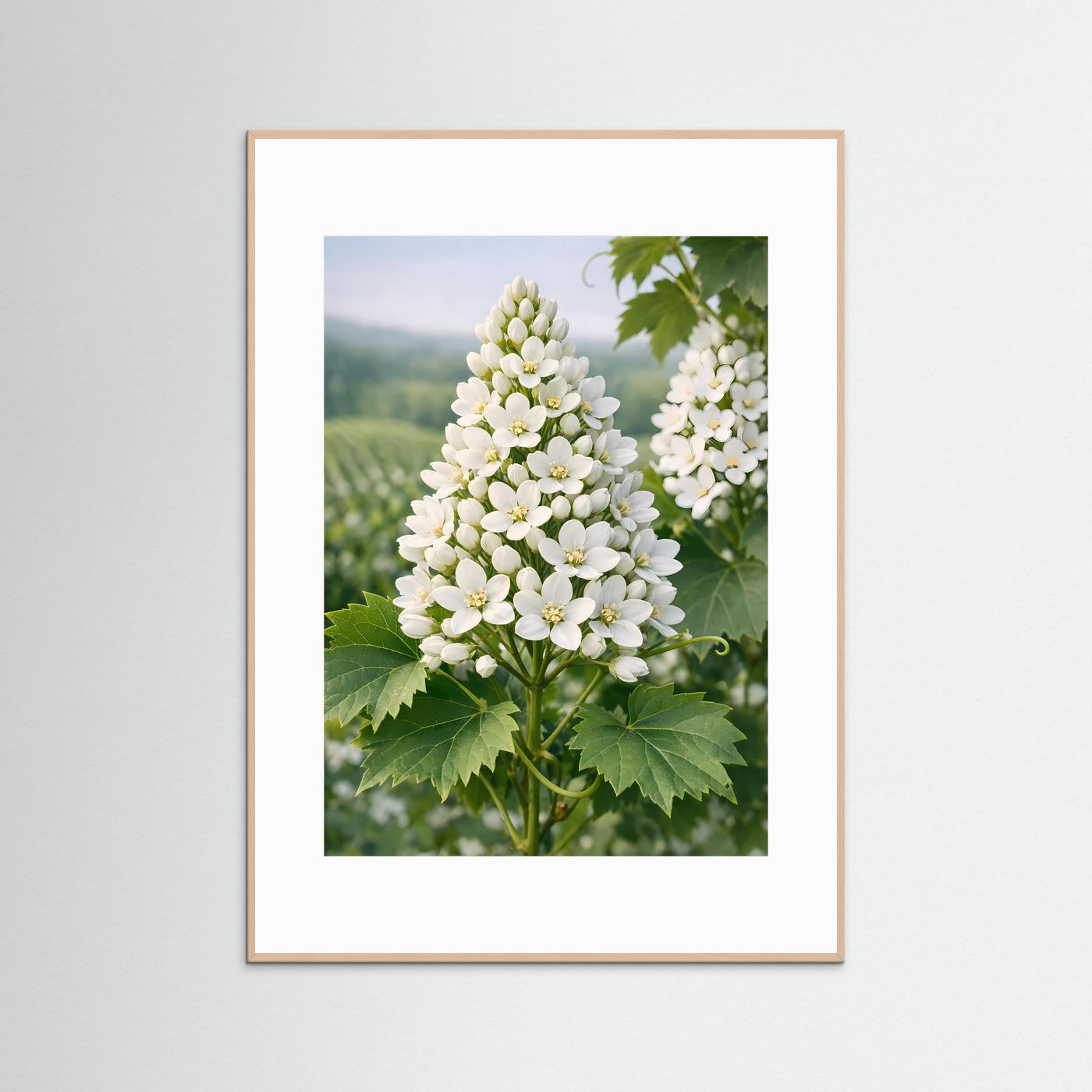 Botanisches Poster im Hochformat mit weißen Blütenständen und grünen Blättern, heller Rahmen
