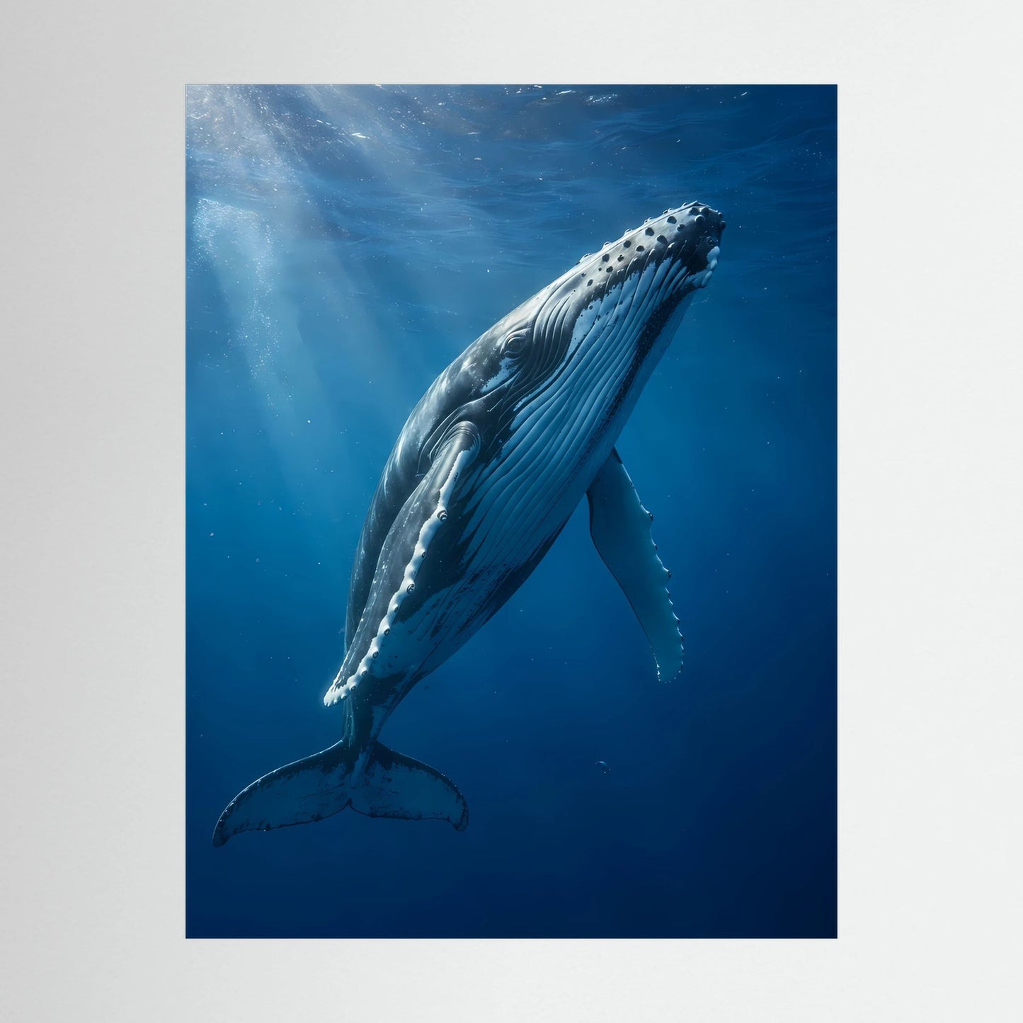Hochformatiges Poster als Nahaufnahme: Buckelwal unter Wasser, blau-graue Details
