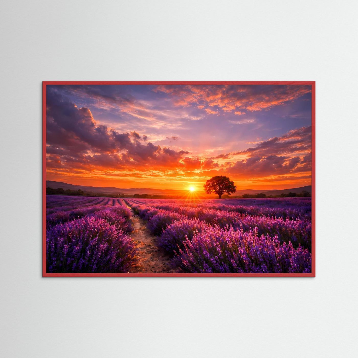 Wandbild mit Lavendelfeld bei Sonnenuntergang, rot gerahmt